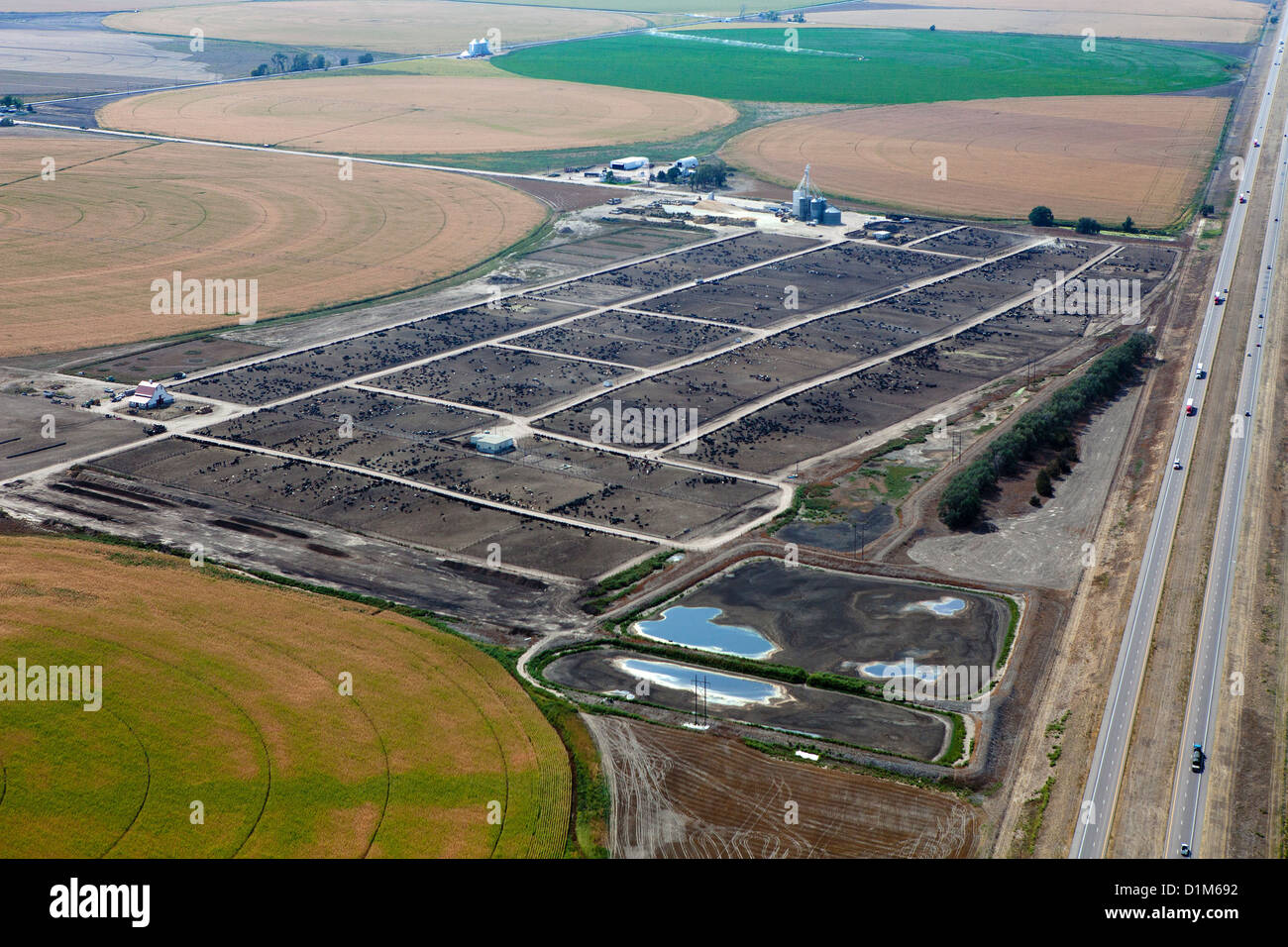aerial photograph cattle feedlot Nebraska Stock Photo, Royalty Free Image 52689758 Alamy