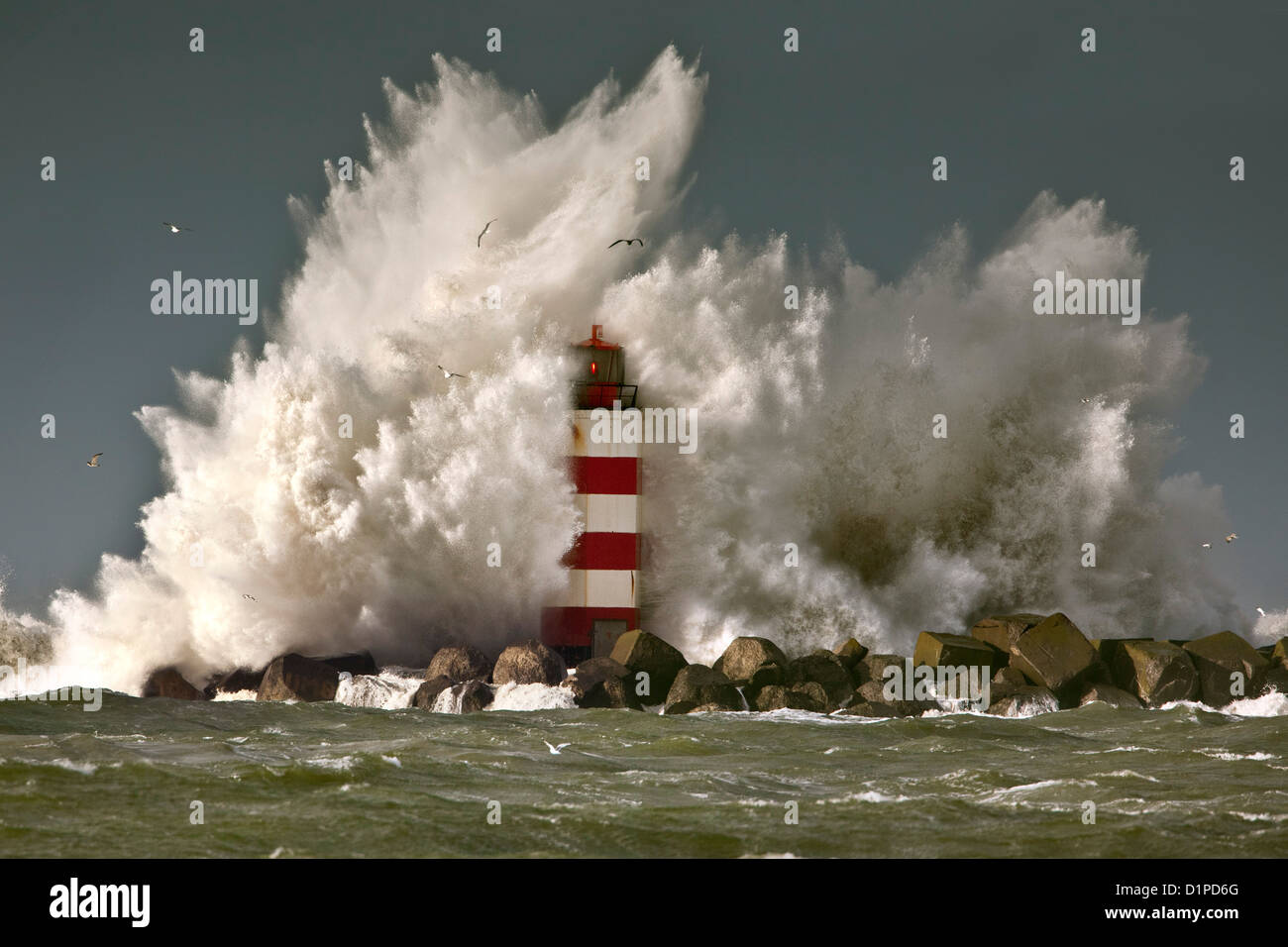 [Image: the-netherlands-ijmuiden-storm-waves-sma...D1PD6G.jpg]