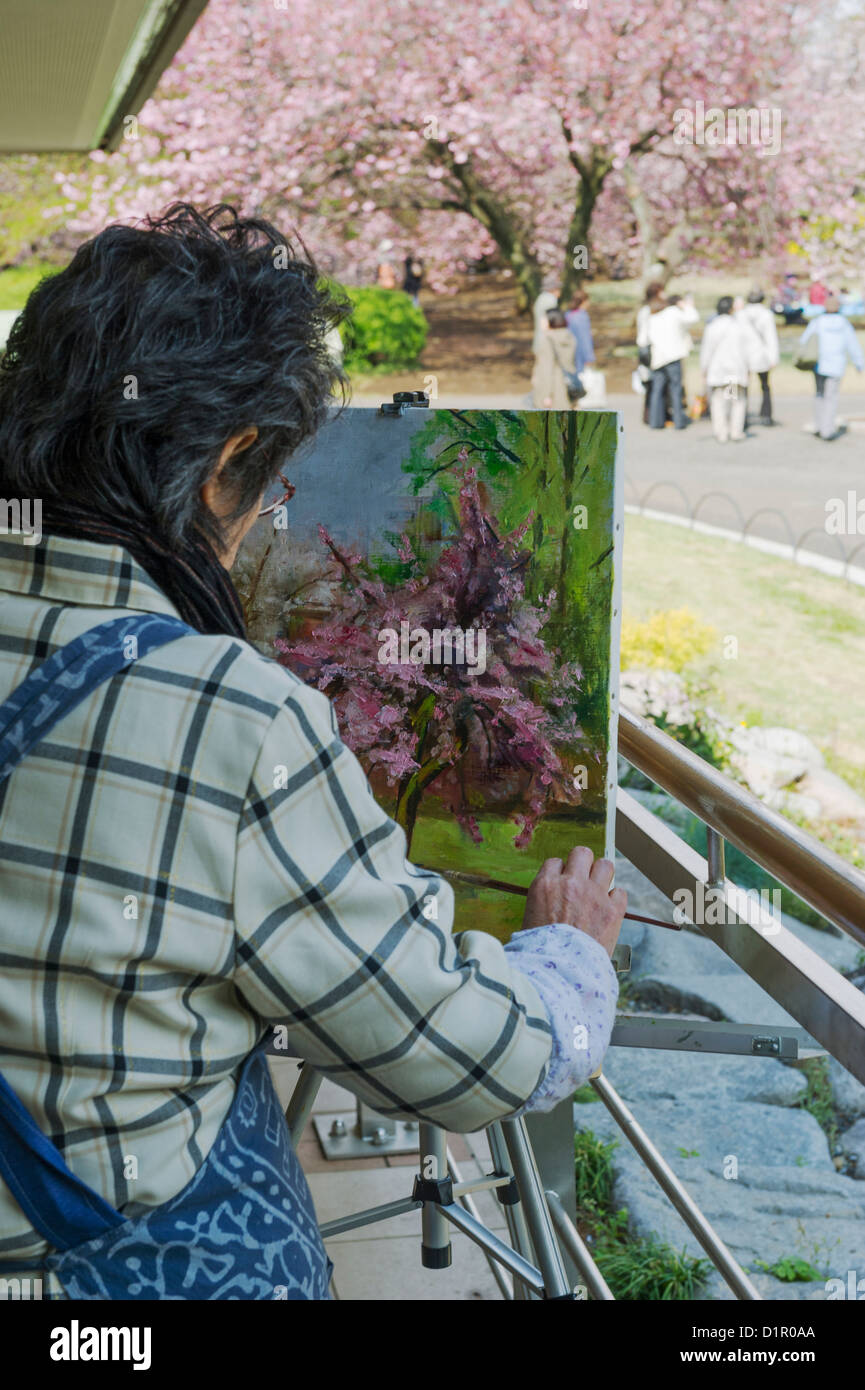 Japanese Garden Cherry Blossom Paintings japan cherry blossom painting stock photos & japan cherry blossom Japanese Garden Cherry Blossom Paintings japan cherry blossom painting stock photos & japan cherry blossom