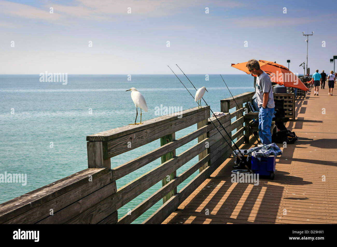 People fishing off Venice Beach Pier in Florida Stock Photo, Royalty Free Image 53072041 Alamy