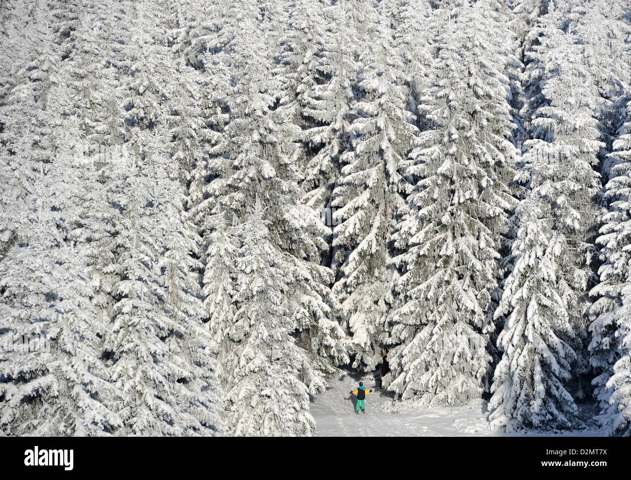 Winter In The Harz Mountains Of Germany Photo Frank May Stock Photo