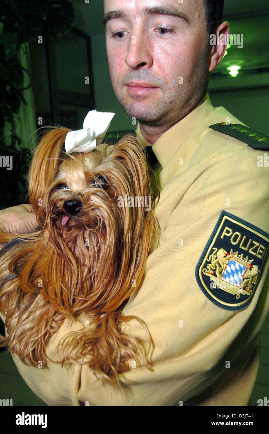 (dpa) - Police officer <b>Wolfgang Bacher</b> holds dog &#39;Daisy&#39; in his arms at the ... - dpa-police-officer-wolfgang-bacher-holds-dog-daisy-in-his-arms-at-D3JT41