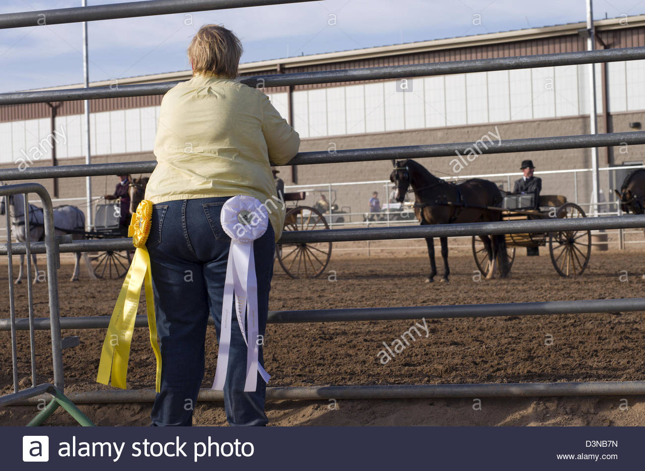 a-horse-owner-displays-her-award-ribbons