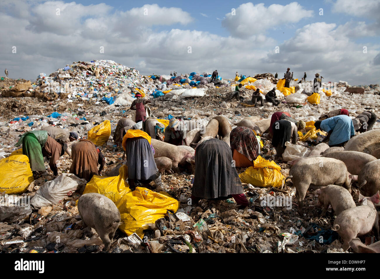 Dandora dumpsite in Kenya Stock Photo, Royalty Free Image 54037823 Alamy