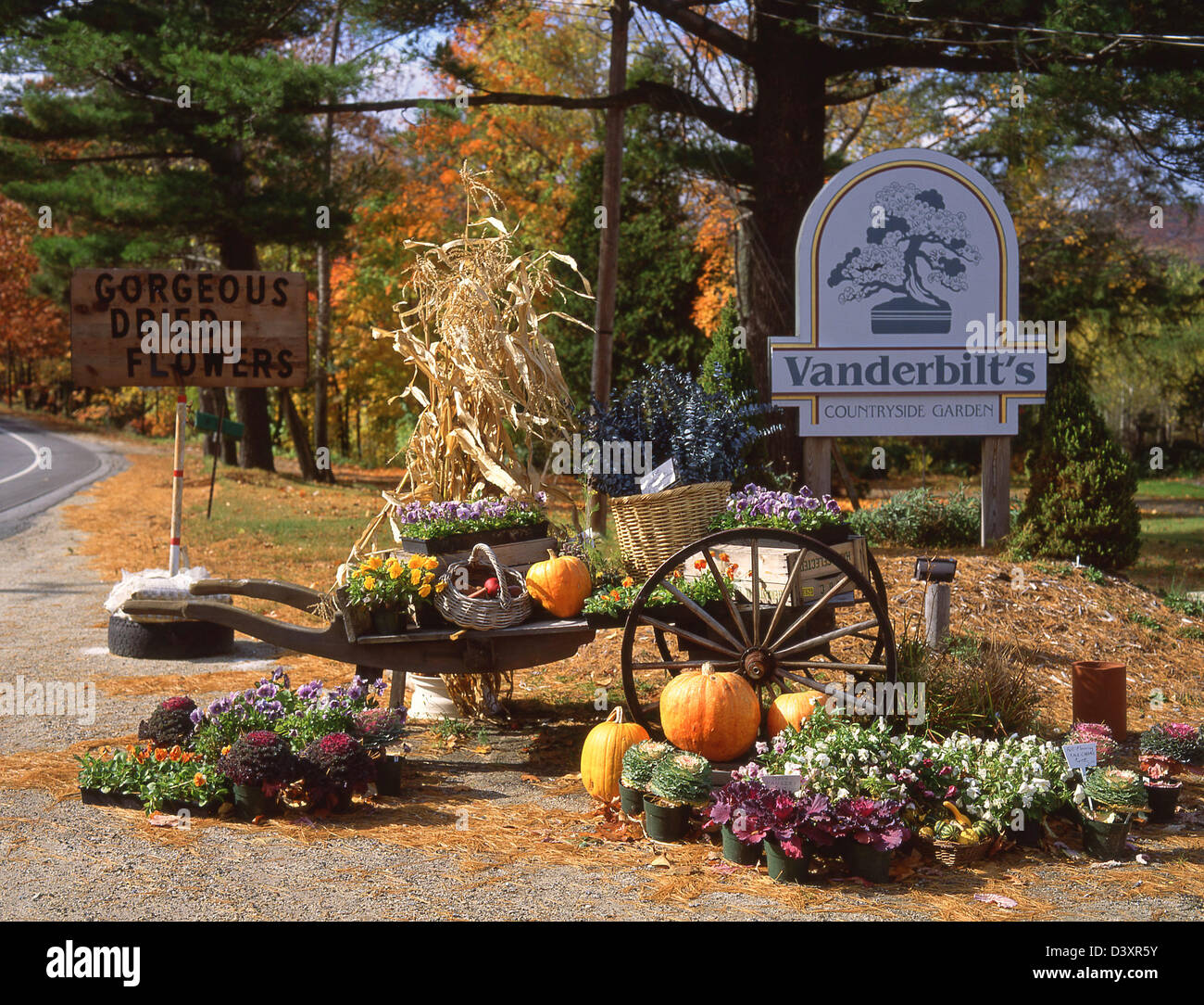 roadside halloween display outside vanderbilts countryside garden new hampshire united states of america - Halloween New Hampshire roadside halloween display outside vanderbilts countryside garden new hampshire united states of america - Halloween New Hampshire