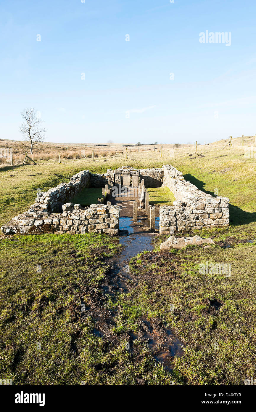 Temple Of Mithras Carrawburgh Hadrians Wall Hi Res Stock Photography