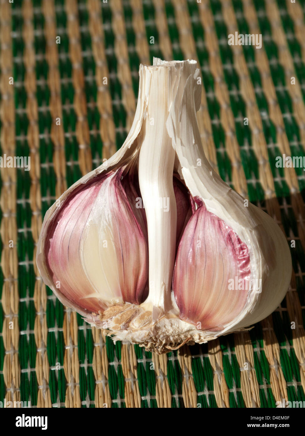 Garlic Structure Section through Garlic bulb showing central stem Stock Photo, Royalty Free