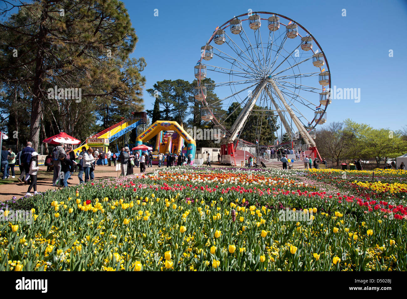 Ferris wheel at the Spring Festival of Floriade Canberra Australia Stock Photo, Royalty Free