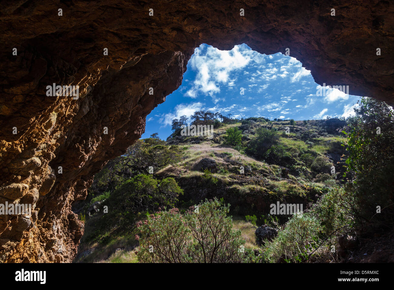 What did the Chumash use for shelter?