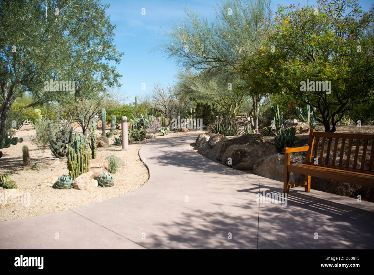 Mayo Clinic Phoenix campus Stock Photo 55325737 Alamy