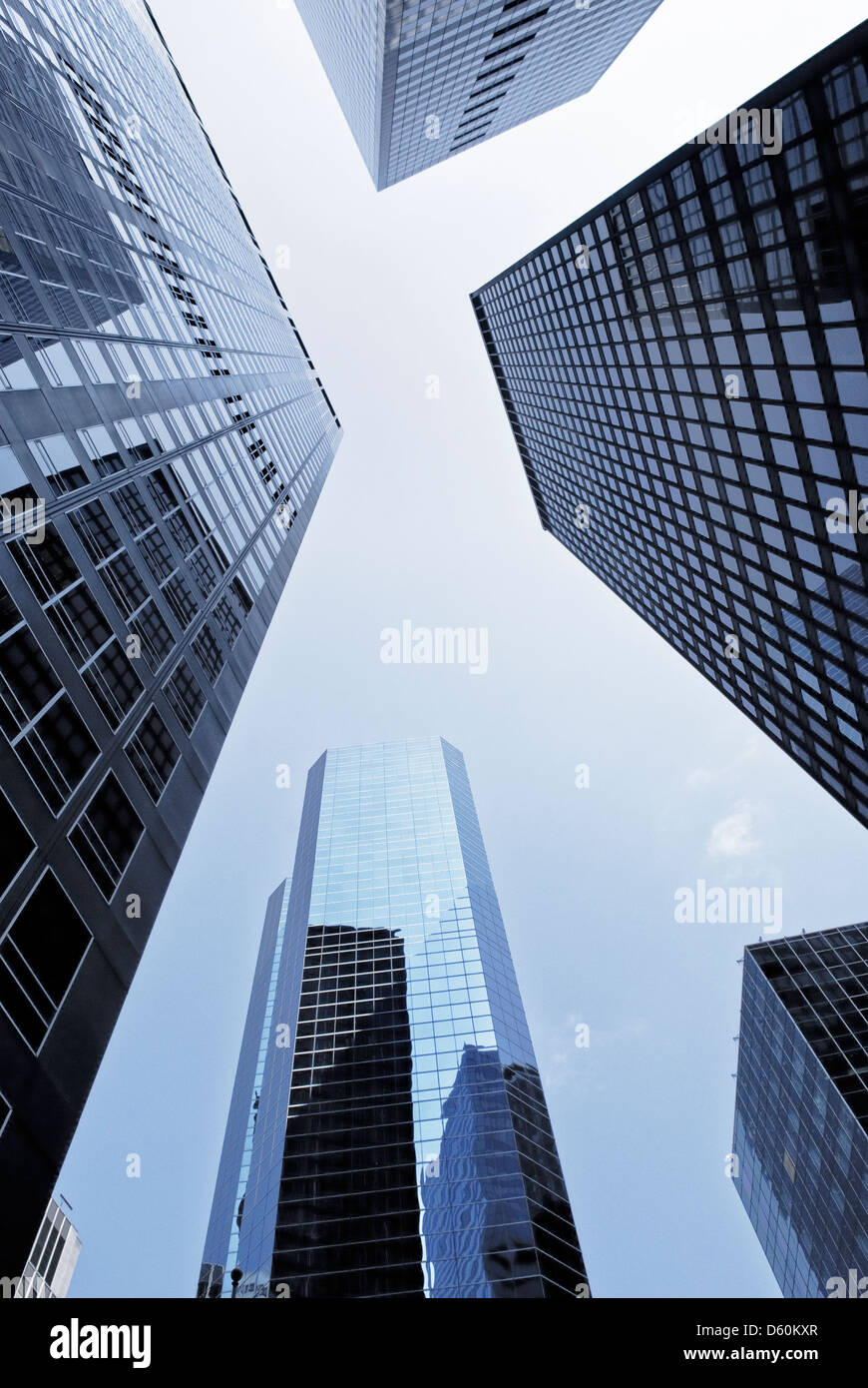 Super low angle photography 9