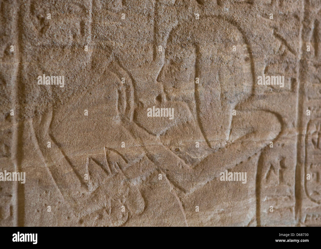 buhen-temple-hieroglyphs-in-the-the-national-museum-of-sudan-khartoum-D68730.jpg