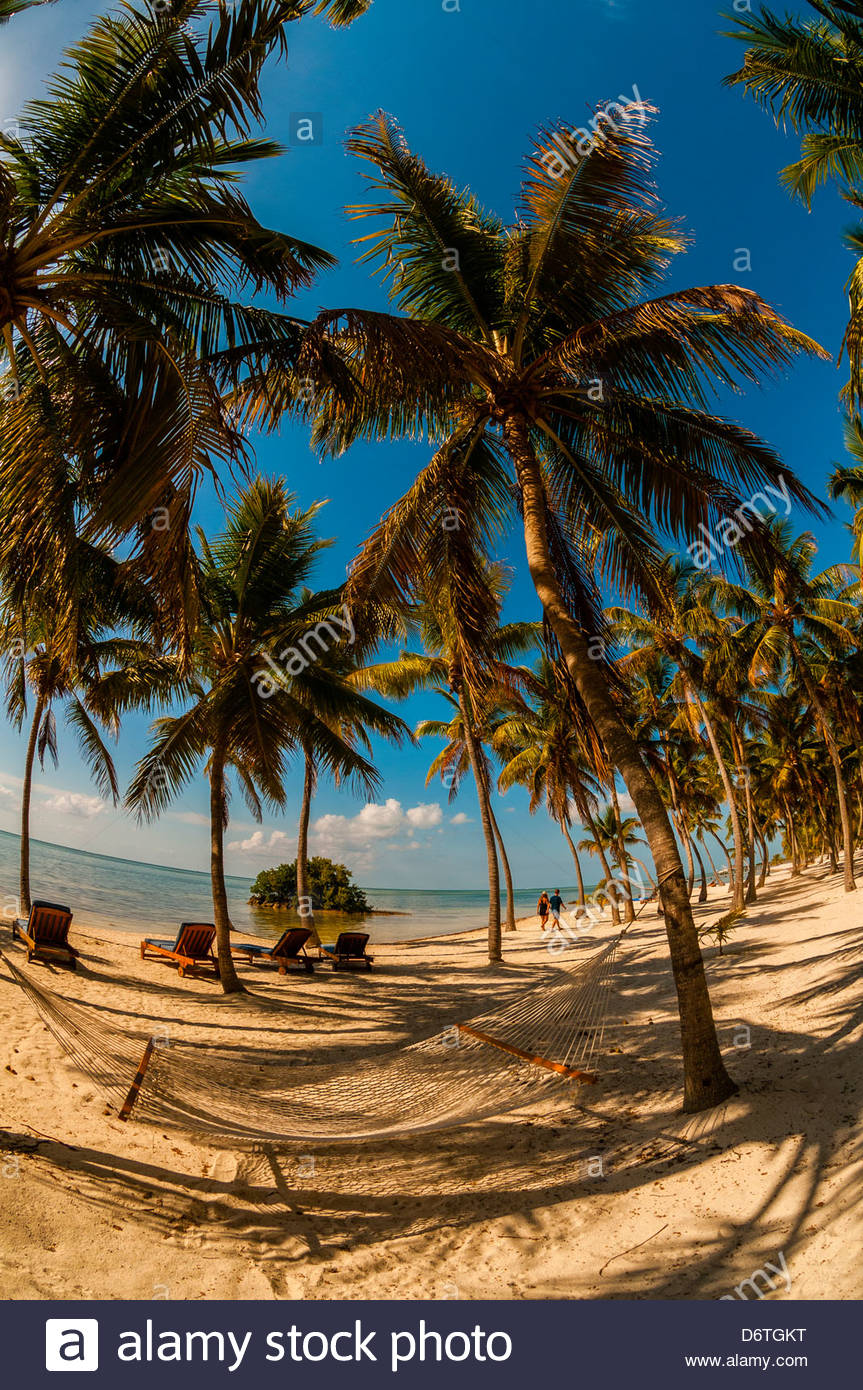 The Moorings Village Pearl of Florida Keys resort, Islamorada Key Stock