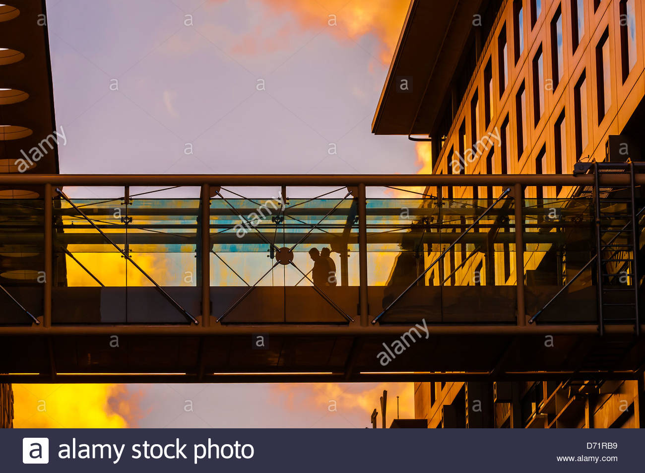 Sky City entertainment complex, Central Business District, Auckland
