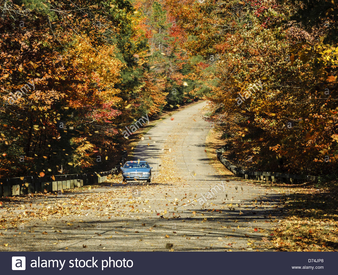 Car on the colonial parkway for a dazzling autumn drive Stock Photo