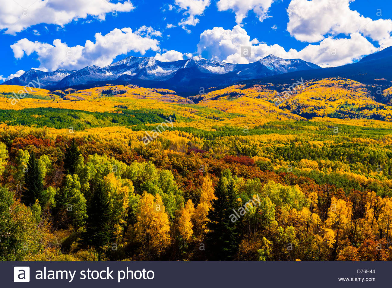Fall color, Kebler Pass, near Crested Butte, Colorado USA Stock Photo