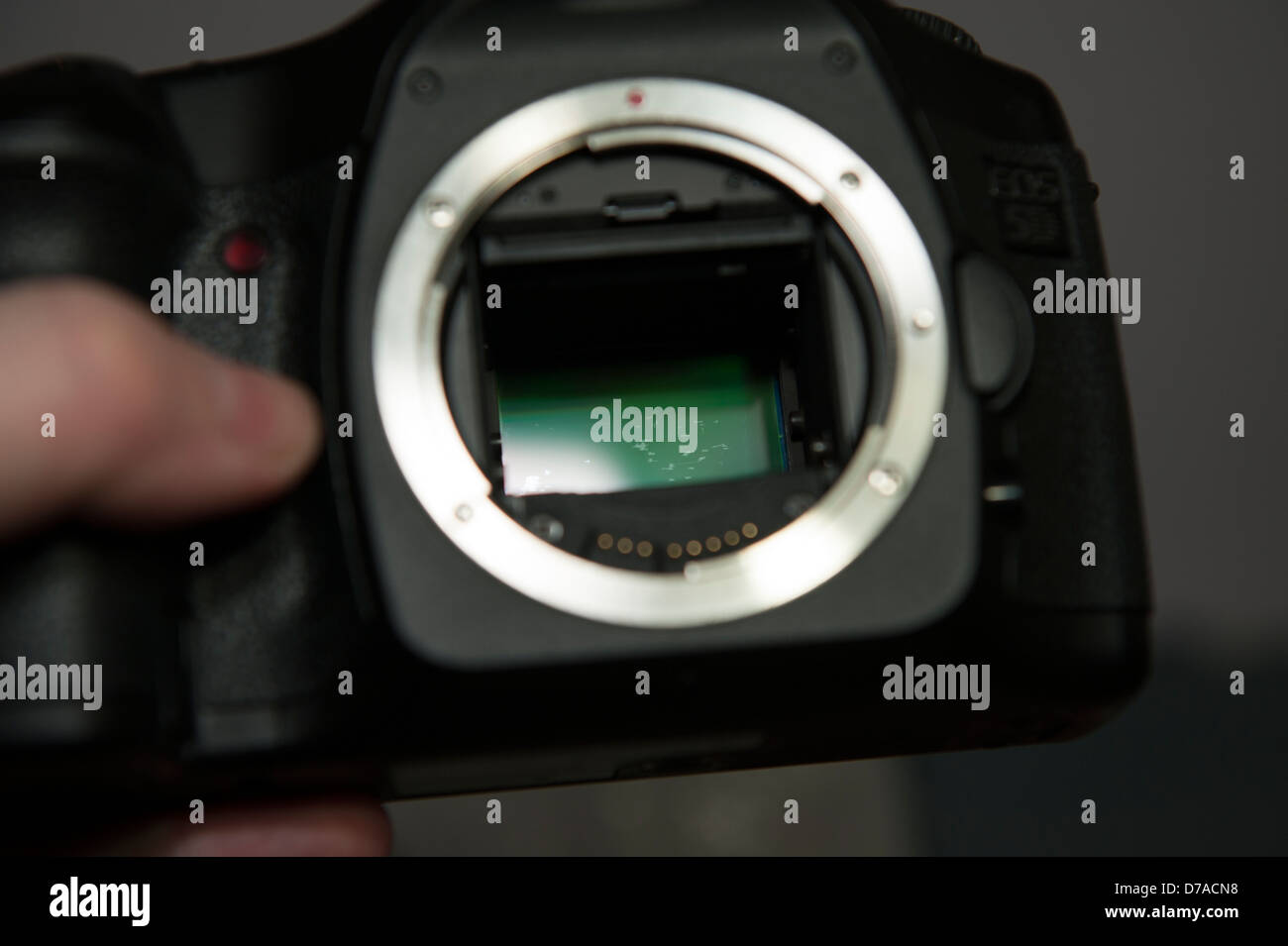 Damaged DSLR Camera Sensor scratched Stock Photo, Royalty Free Image