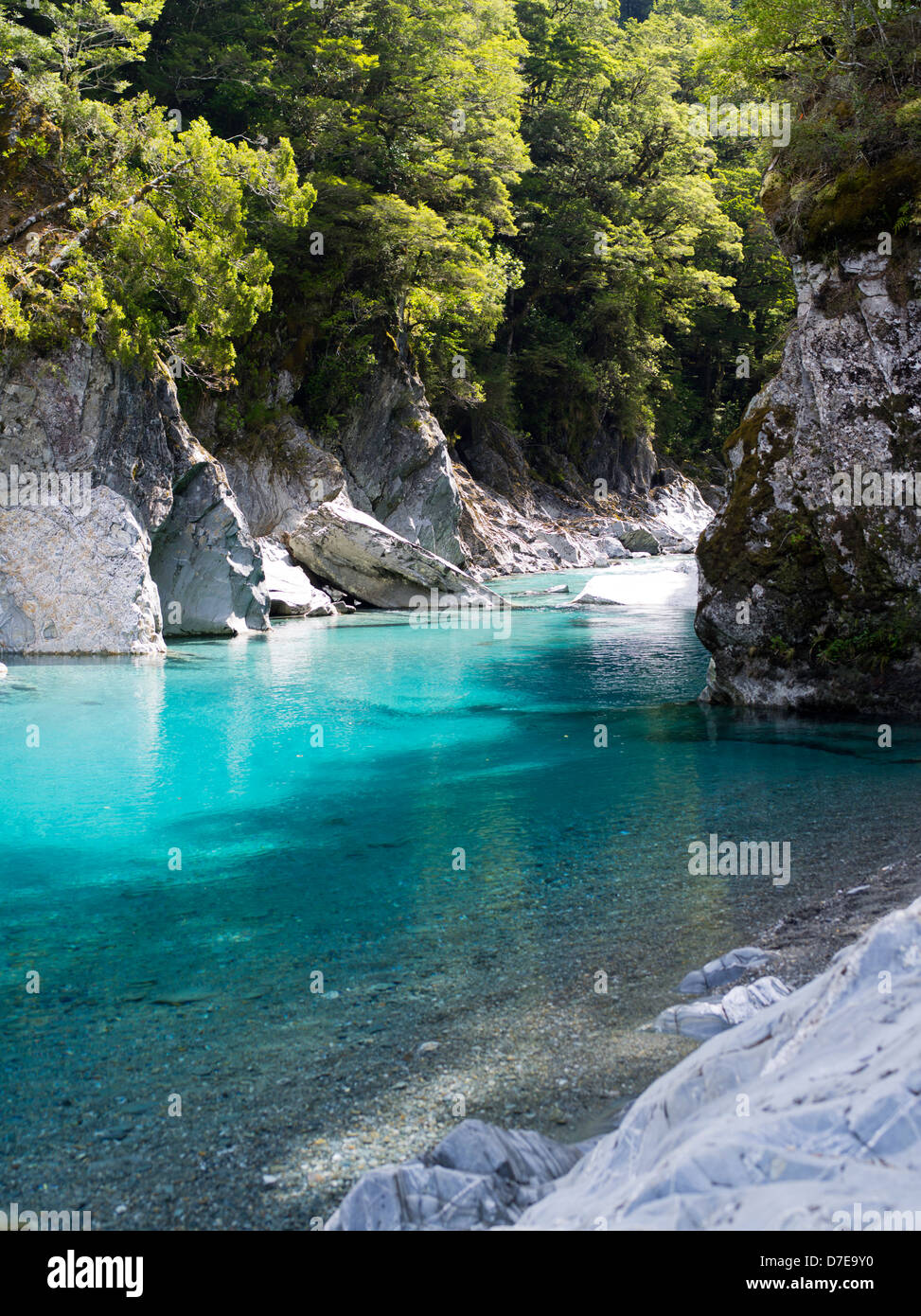 view of the blue pools and makarora river, southern alps, otago view of the blue pools and makarora river, southern alps, otago