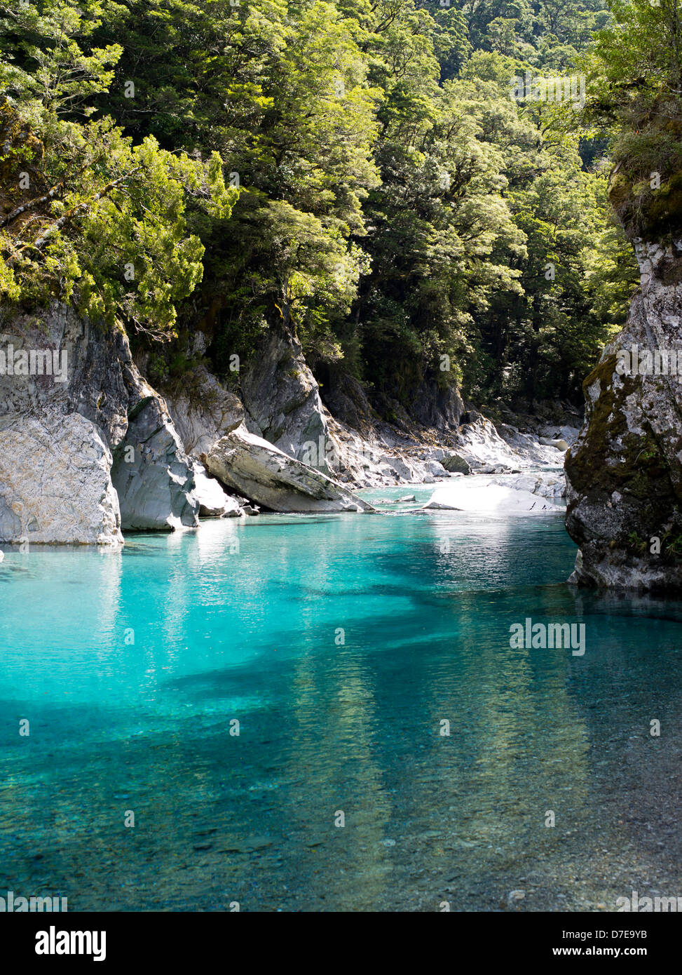 view of the blue pools and makarora river, southern alps, otago view of the blue pools and makarora river, southern alps, otago
