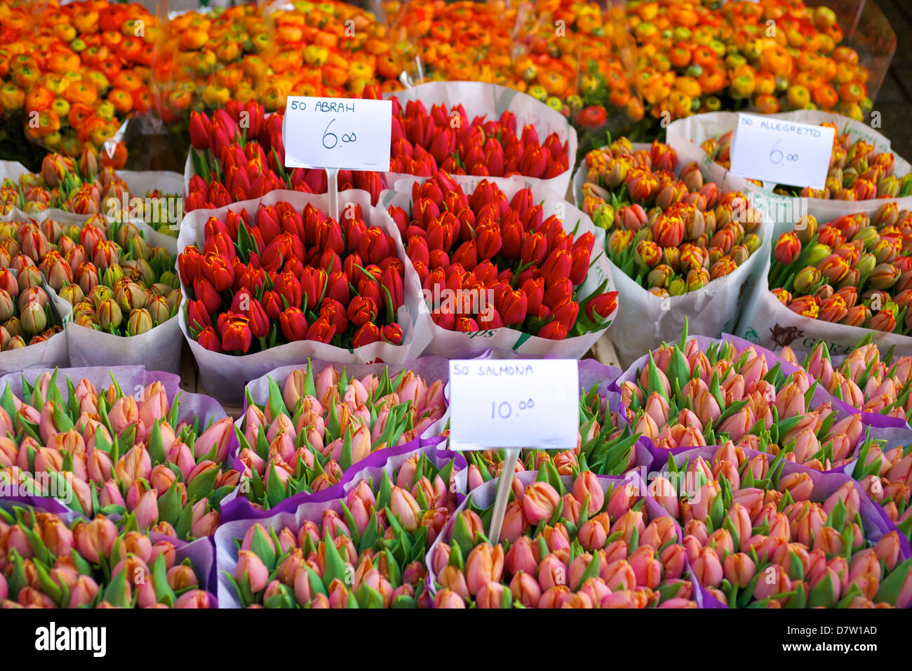 flower stock market amsterdam
