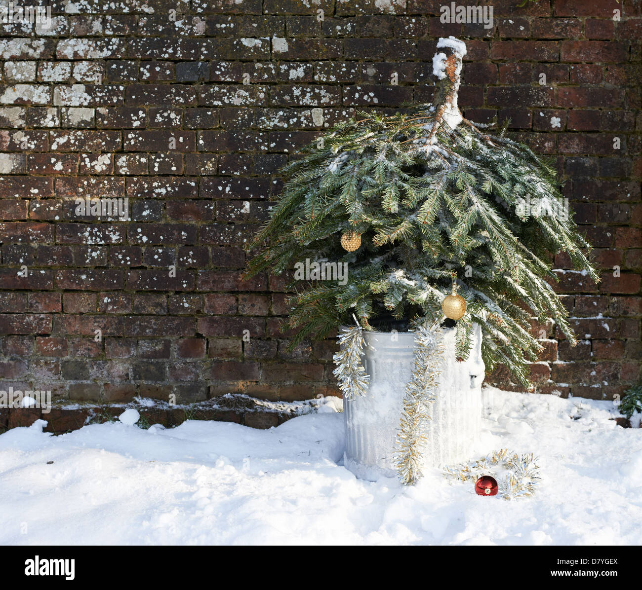 christmas tree in trash can outdoors stock photo royalty christmas tree in trash can outdoors stock photo royalty
