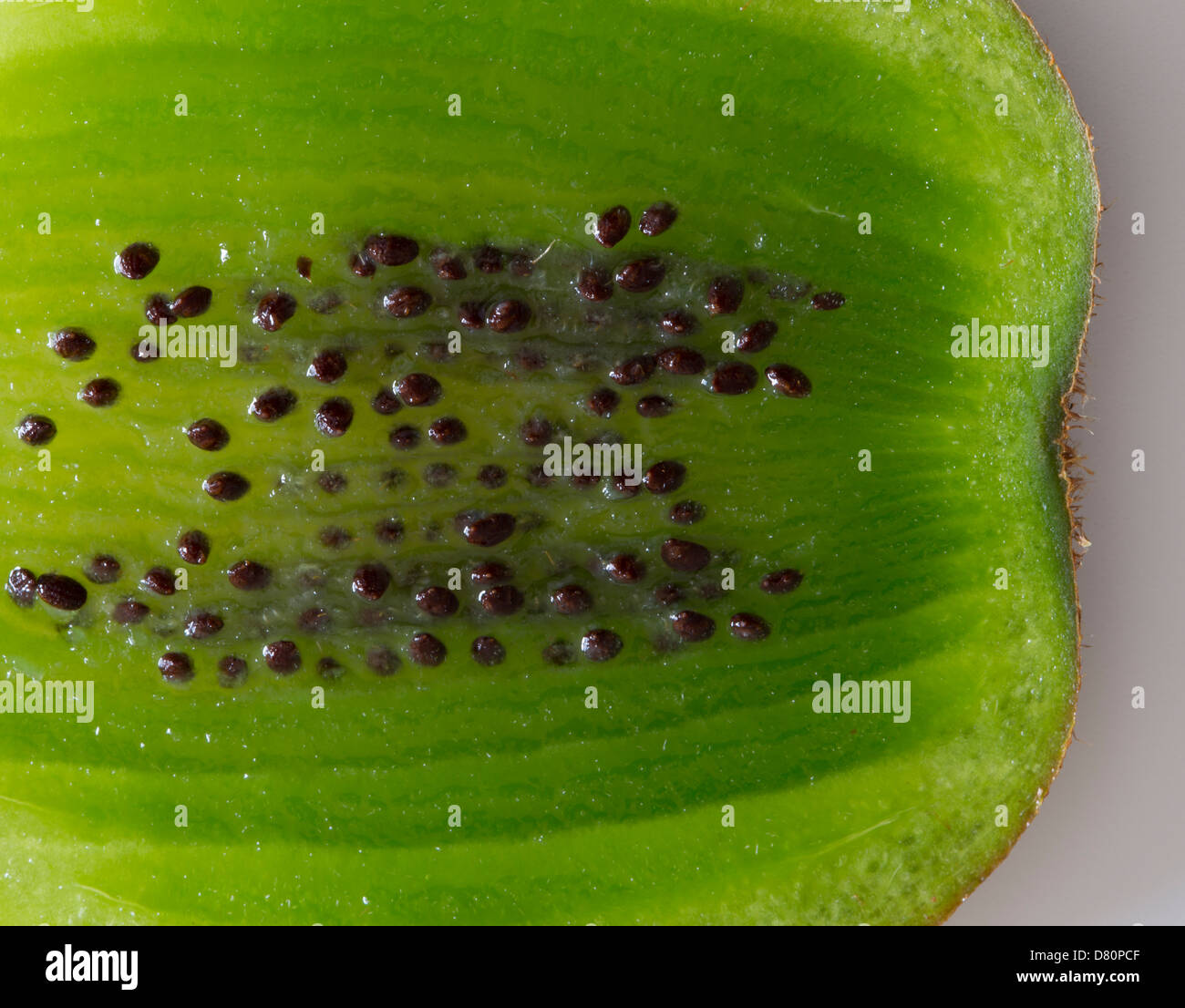 A Fresh Slice Of Juicy Kiwi Fruit Stock Photo Alamy