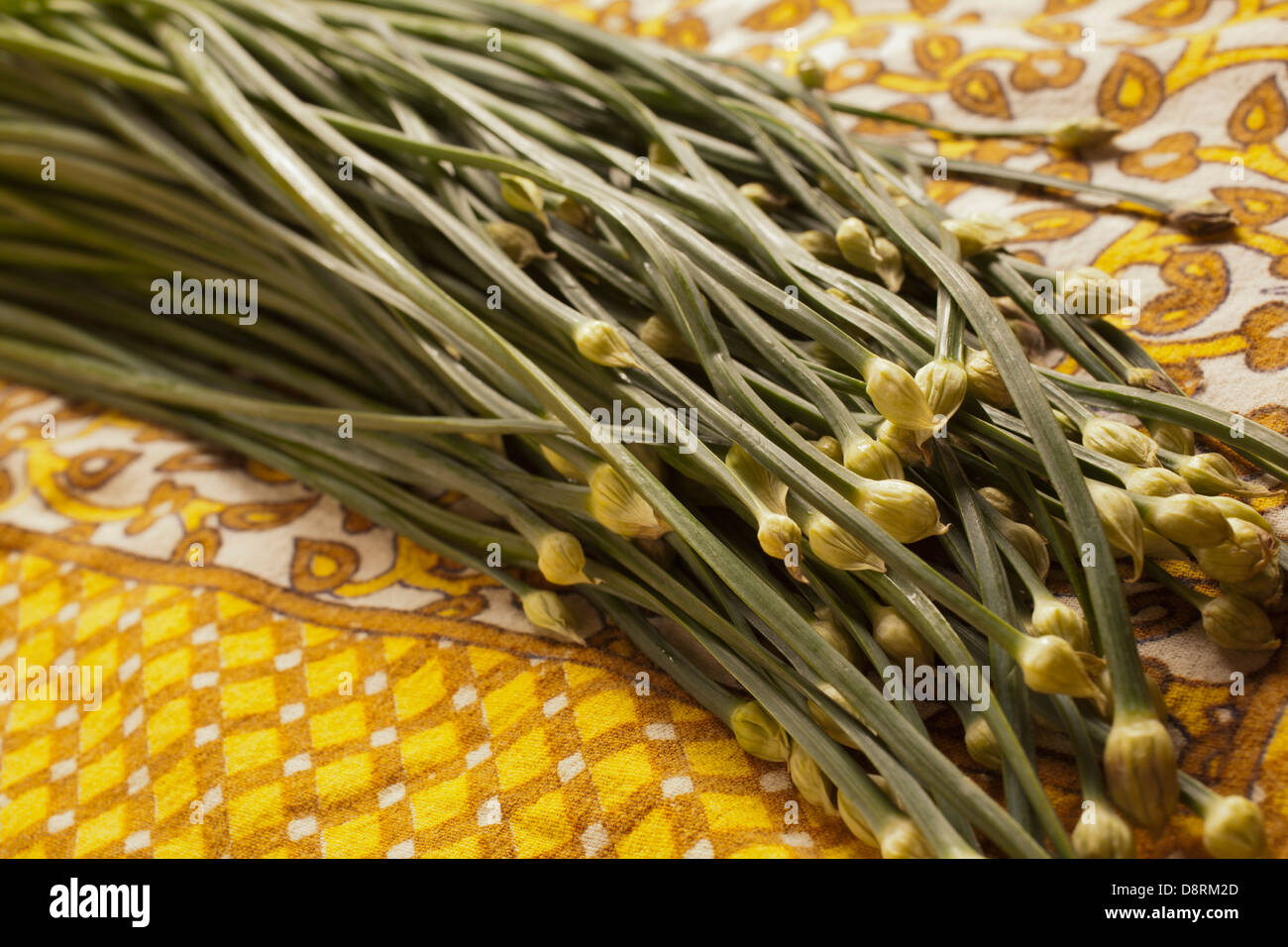Fresh Chinese Chives Stock Photo, Royalty Free Image 57068997 Alamy