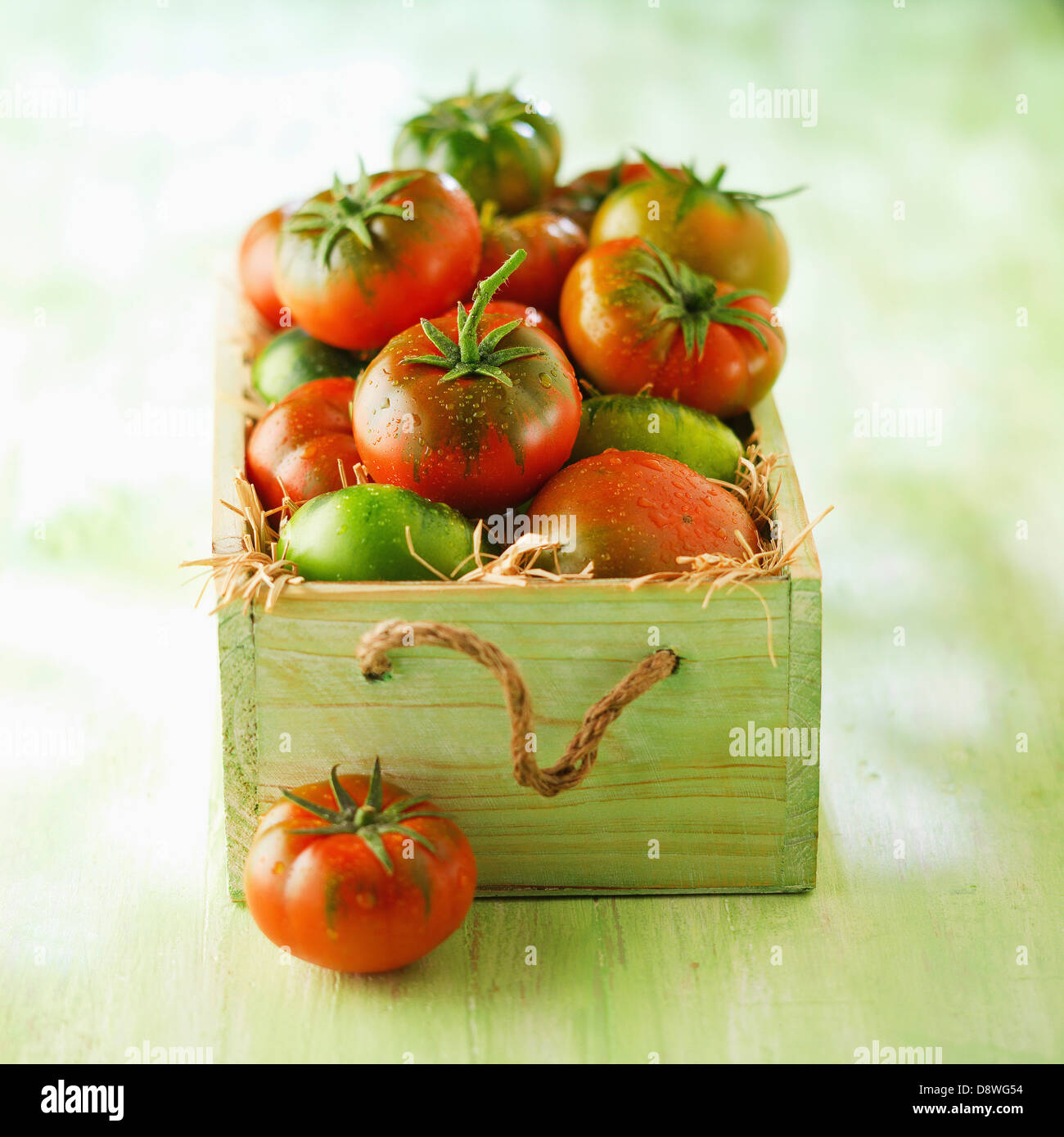 Crate Of Tomatoes Stock Photo, Royalty Free Image 57109840 Alamy