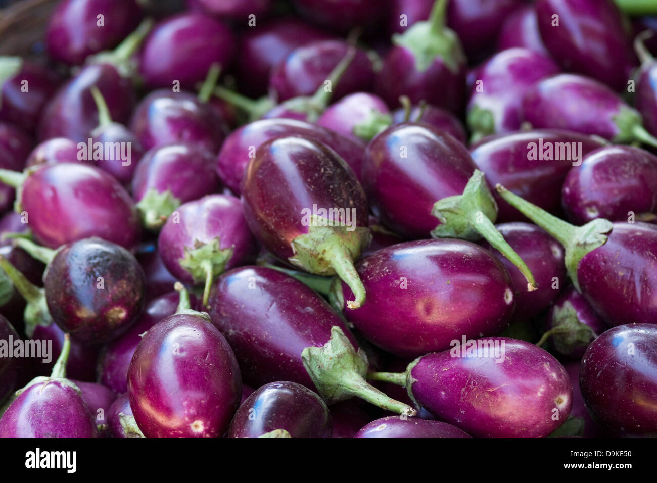 Asia, India, Karnataka, Madikeri, eggplant on the market Stock Photo