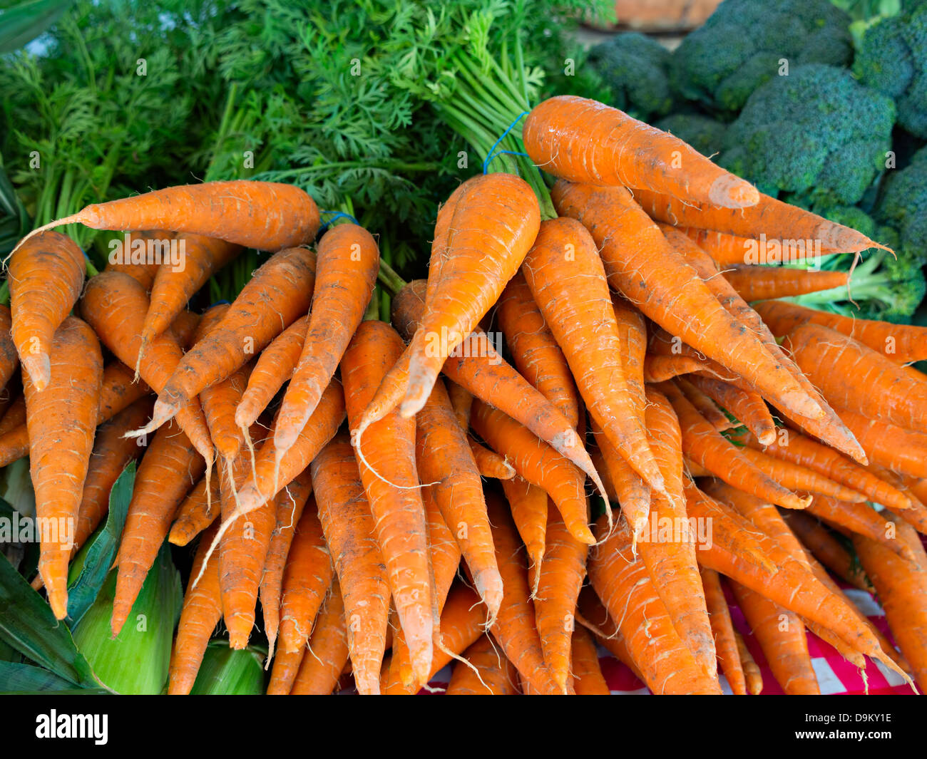 Freshly picked carrots for sale at a farmers market in Bluffton Stock