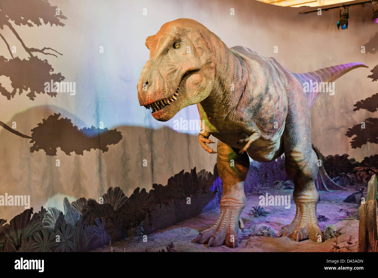 T Rex Museum Of Natural History T Rex Museum Of Natural History