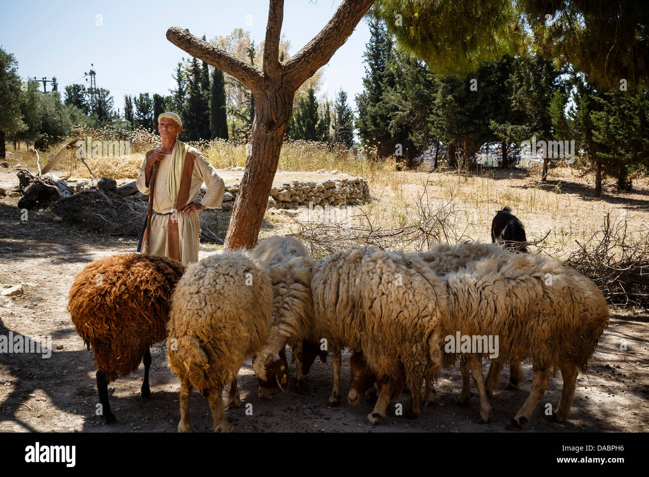 Nazareth Village, recreating Nazareth in the time of Jesus, Nazareth Stock Photo 58036866 Alamy