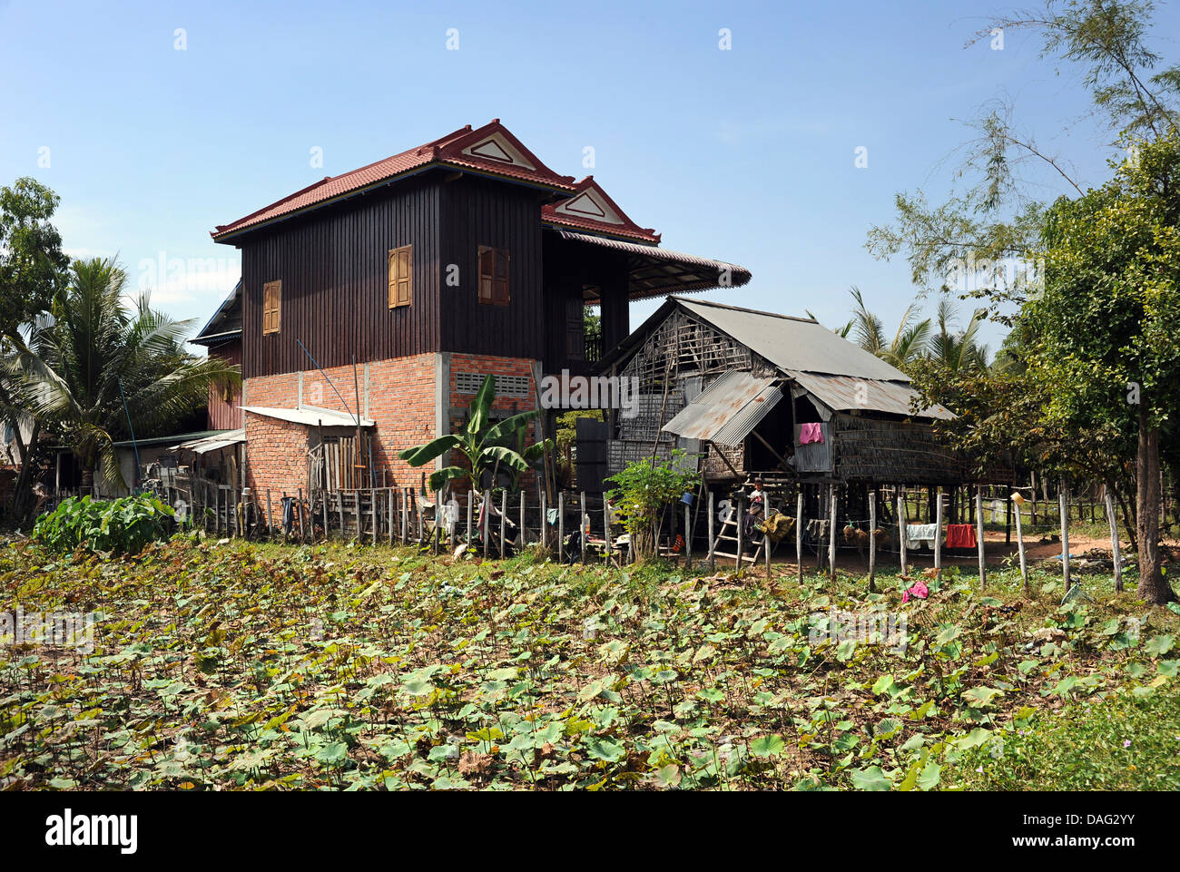 Cambodian home, Siem Reap, Cambodia Stock Photo, Royalty Free Image