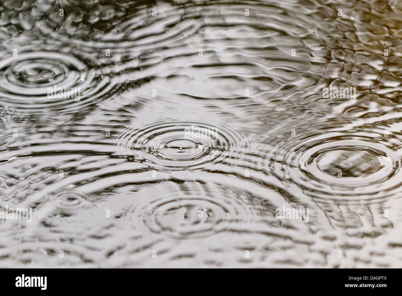 Raindrops Falling Raindrops Falling