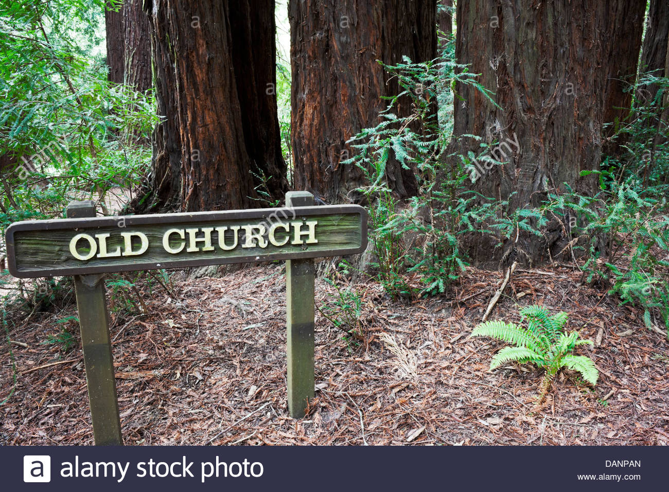 park oakland church at redwood regional park oakland california stock photo royalty park oakland church at redwood regional park oakland california stock photo royalty