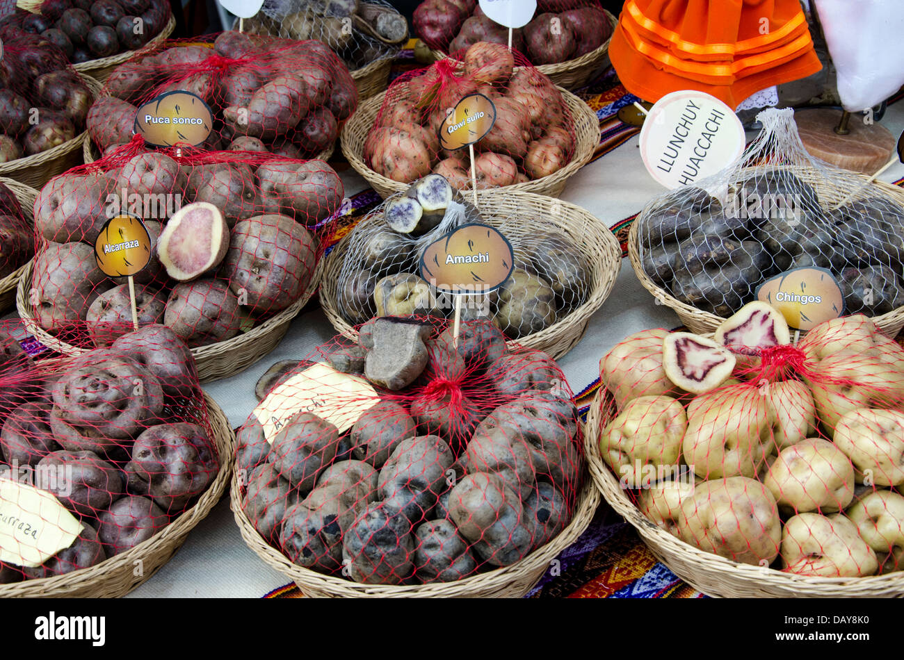 Native potatoes of the Peruvians Andes Stock Photo 58377172 Alamy