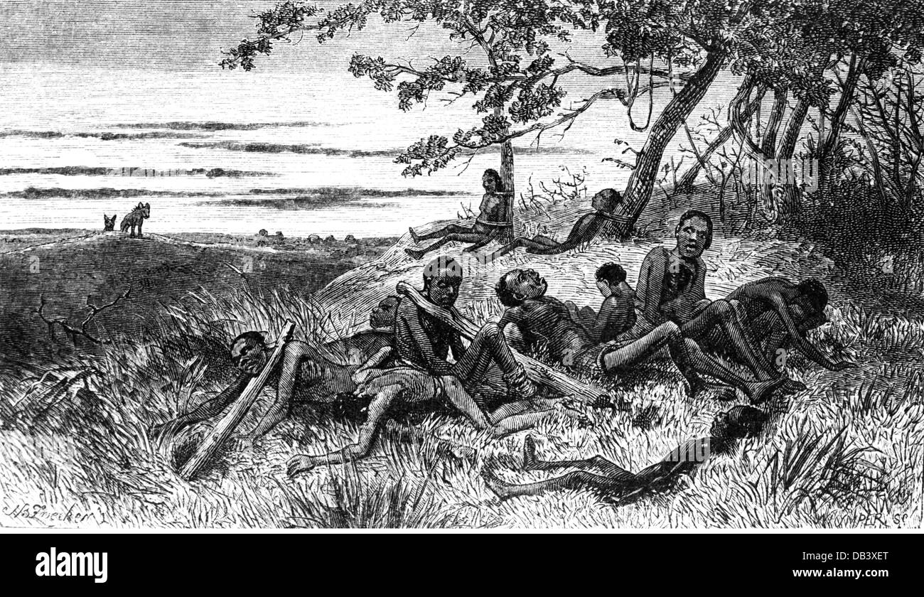 slavery slaves transport African slaves left to their fate wood Stock