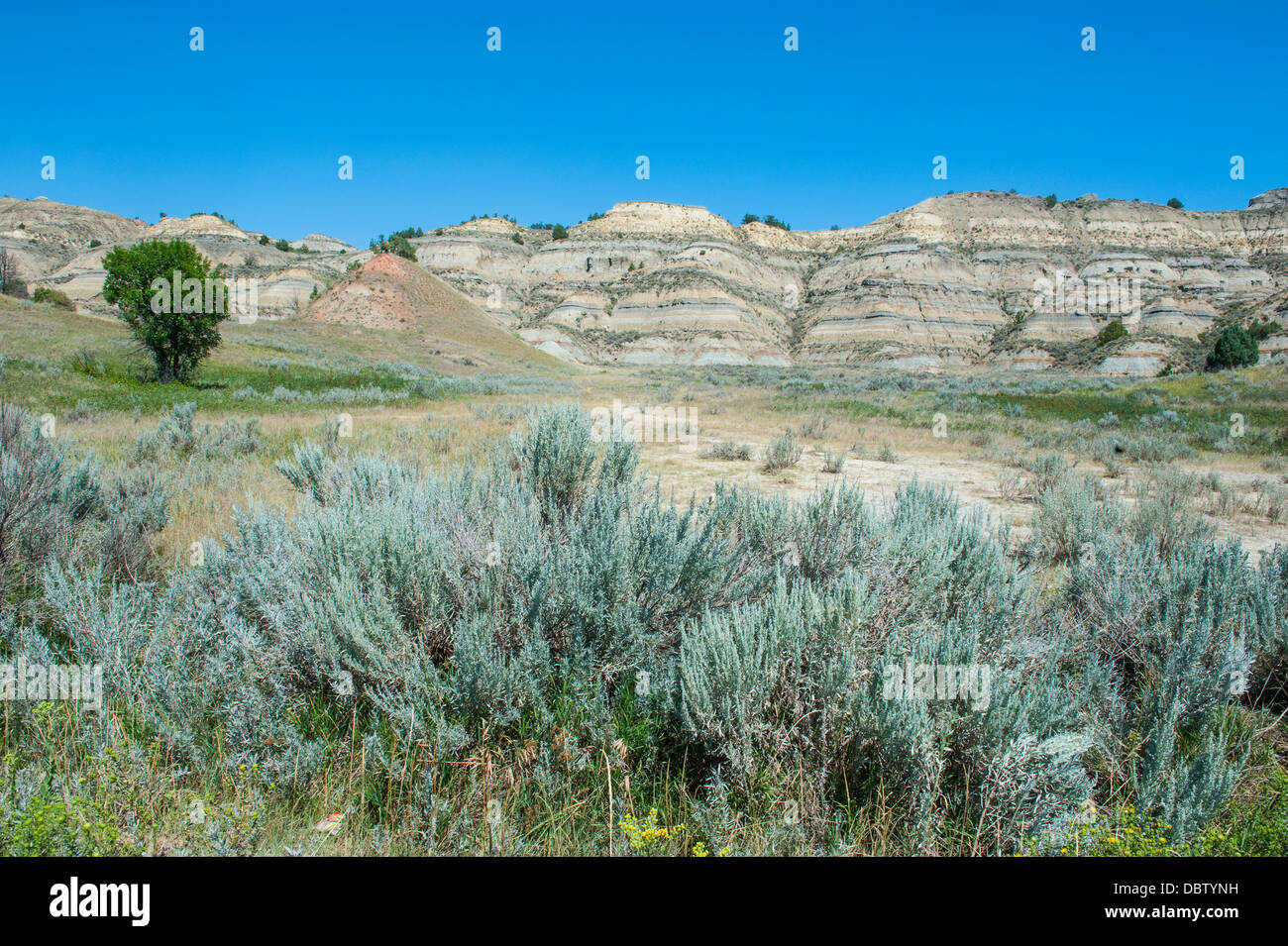 The Northern Part Of The Roosevelt National Park North Dakota United