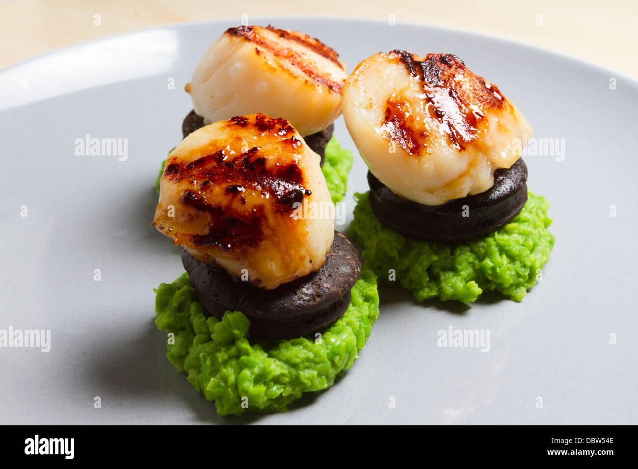 Starter dish of seared scallops/scallop,black pudding and Stock Photo, Royalty Free Image