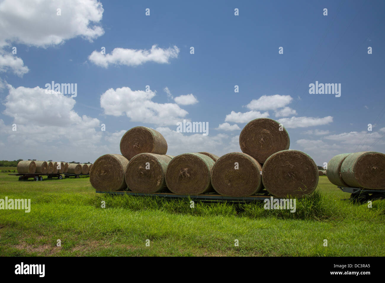 order cheap ambien texas harlingen order cheap ambien texas harlingen