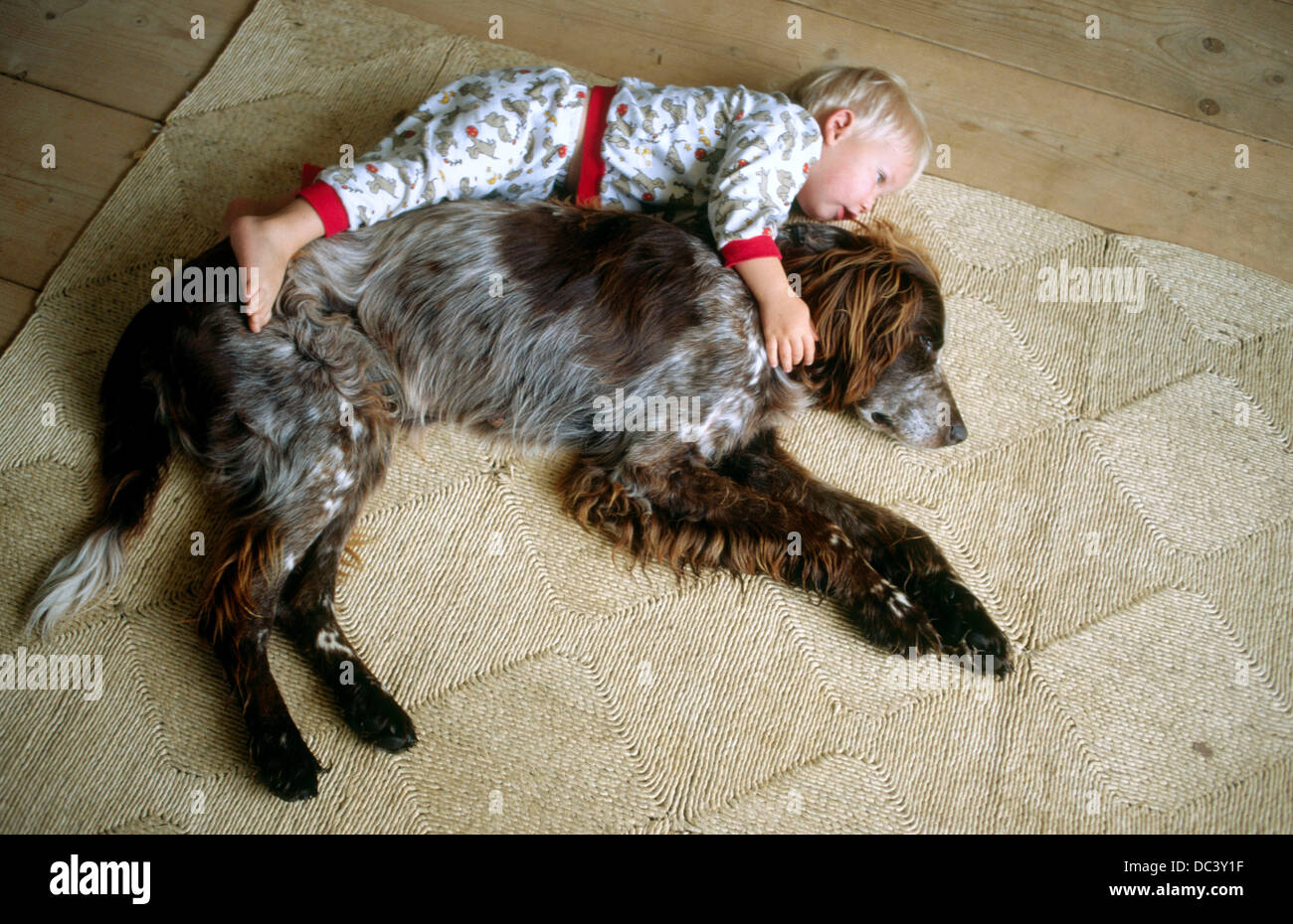 Boy With Dog German Longhaired Pointer Stock Photo 59094043 Alamy Boy With Dog German Longhaired Pointer Stock Photo 59094043 Alamy