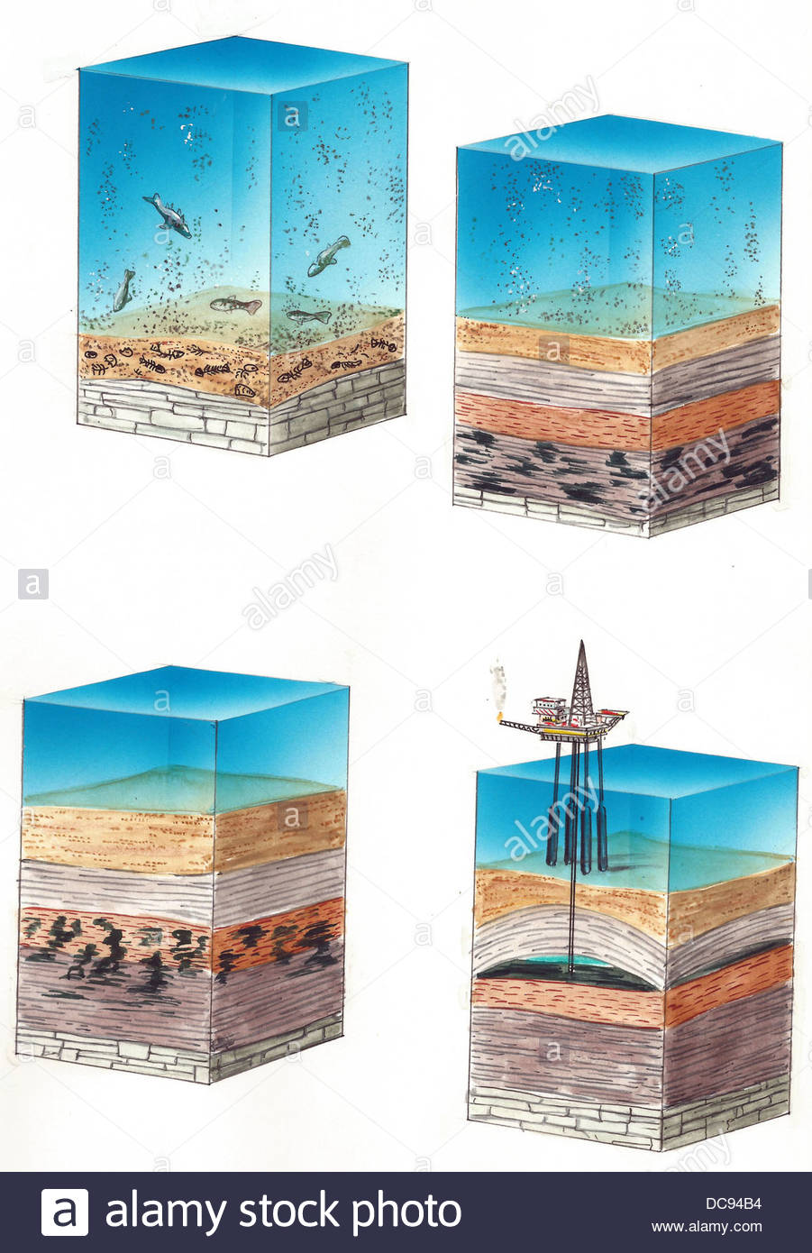 Resultado de imagem para petroleum formation