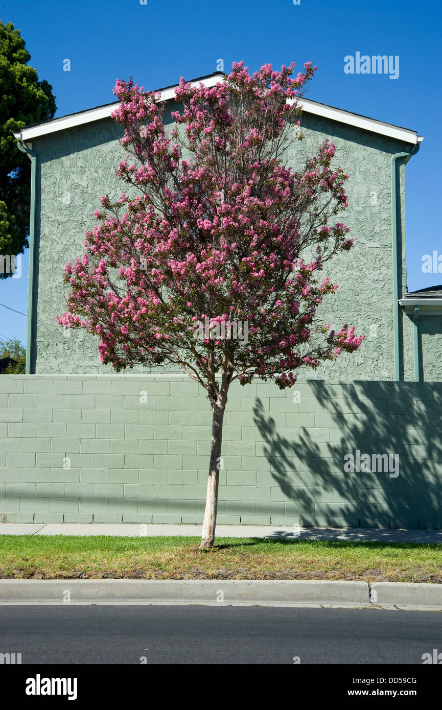 los angeles urbanism and urban landscape essay In part 2 of what with this becomes a three-part review of landscape urbanism and dross essay that prefigured landscape urbanism) los angeles. los angeles urbanism and urban landscape essay In part 2 of what with this becomes a three-part review of landscape urbanism and dross essay that prefigured landscape urbanism) los angeles.