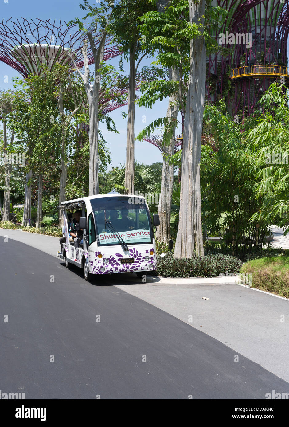 stock photo dh supertree grove garden by the bay singapore supertrees vertical gardens skyway walkway shuttle bus service - Garden By The Bay Bus stock photo dh supertree grove garden by the bay singapore supertrees vertical gardens skyway walkway shuttle bus service - Garden By The Bay Bus