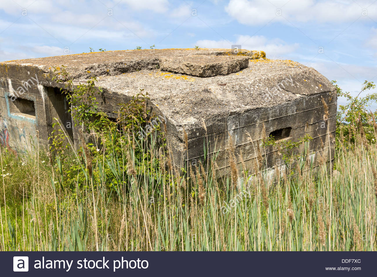 Concrete WWII pill box Stock Photo, Royalty Free Image 59957140 Alamy