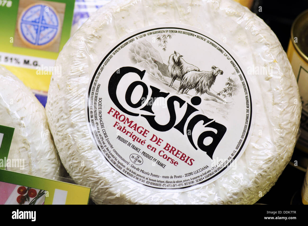 Corsican cheeses Stock Photo, Royalty Free Image 60044903 Alamy