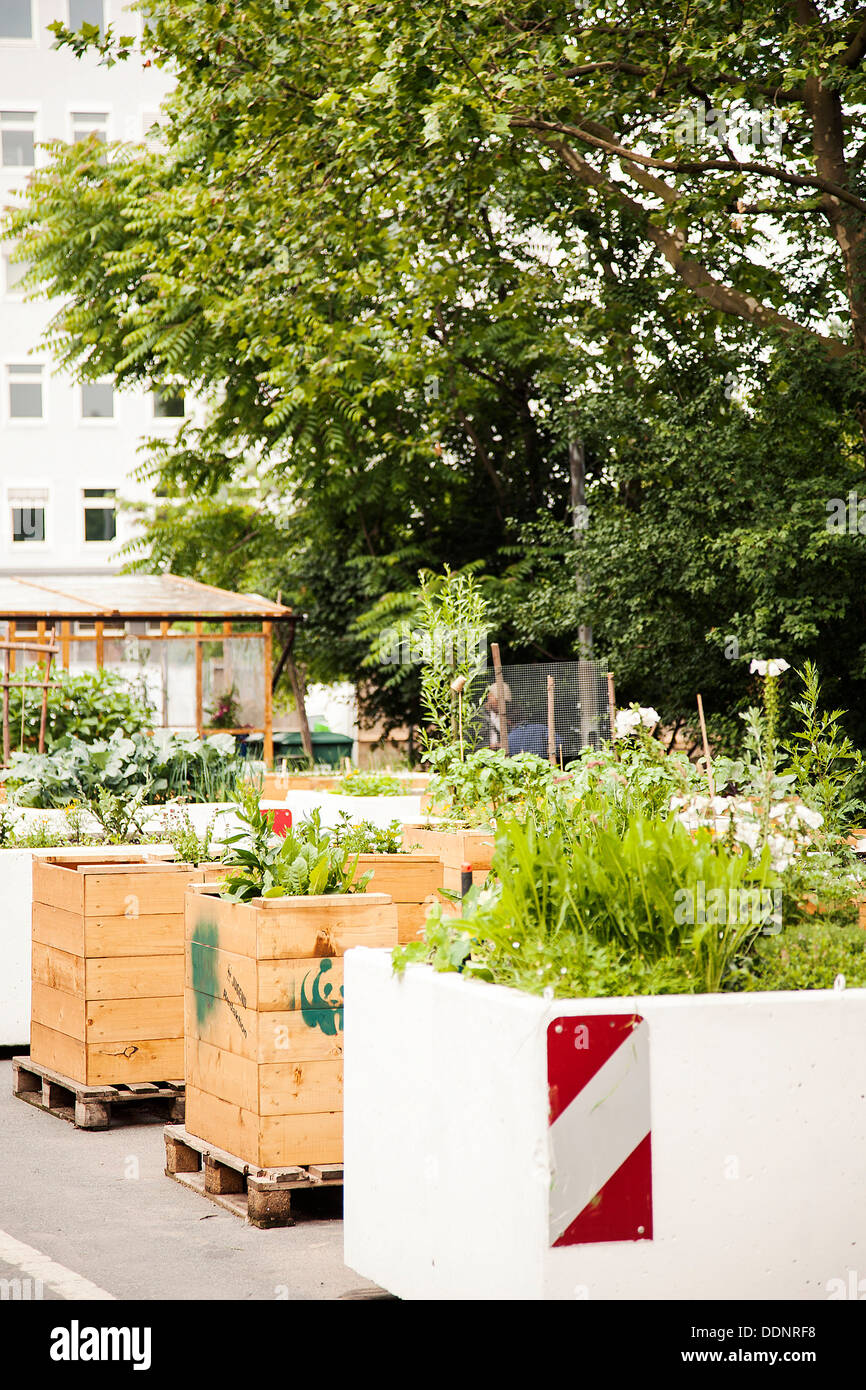 Urban Gardening Frankfurt Am Main Hesse Germany Europe Stock Photo