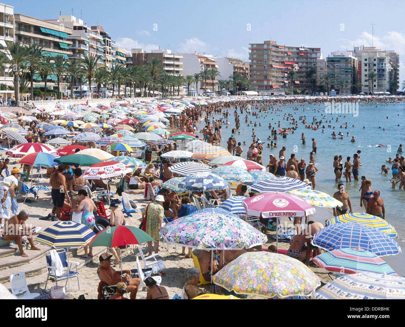 Beach. Torrevieja in Alicante province. Comunidad Valenciana. Spain