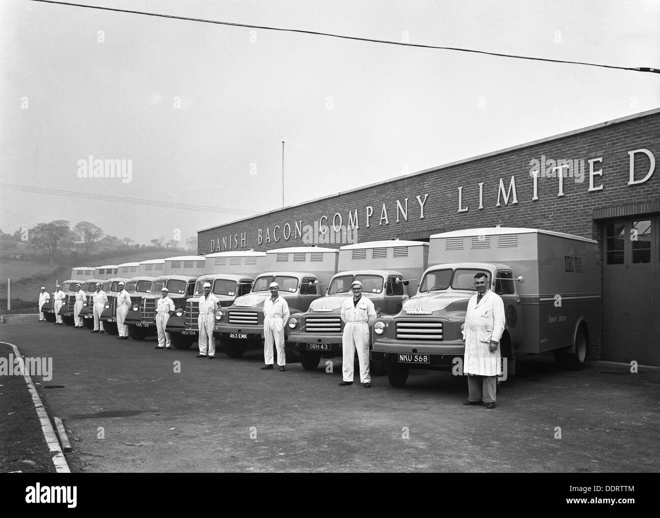 Bedford delivery lorries at the Danish Bacon Co, Kilnhurst, South Stock