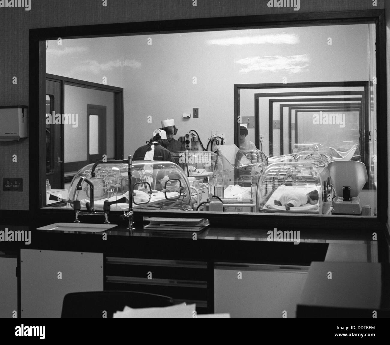 Special care unit for premature babies, Nether Edge Hospital Stock